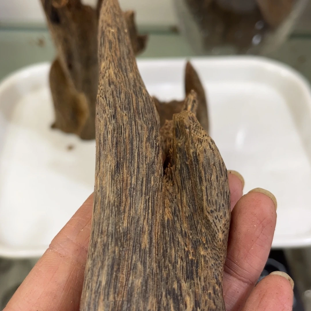 v***v沉香枕沉香沉香棋楠虫漏24