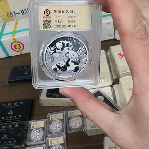 其他普通金属中国人民银行2025呢熊猫银币30克纯银