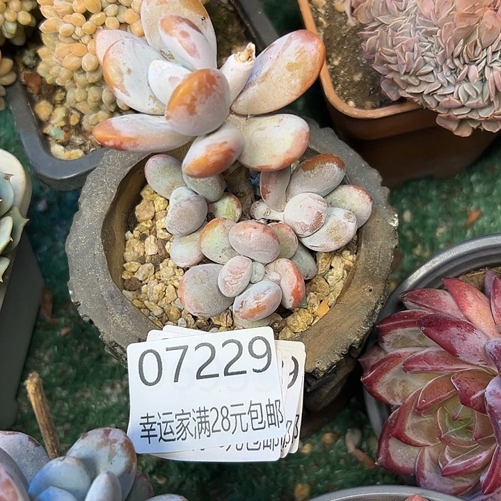 幸运的是我还没遇到