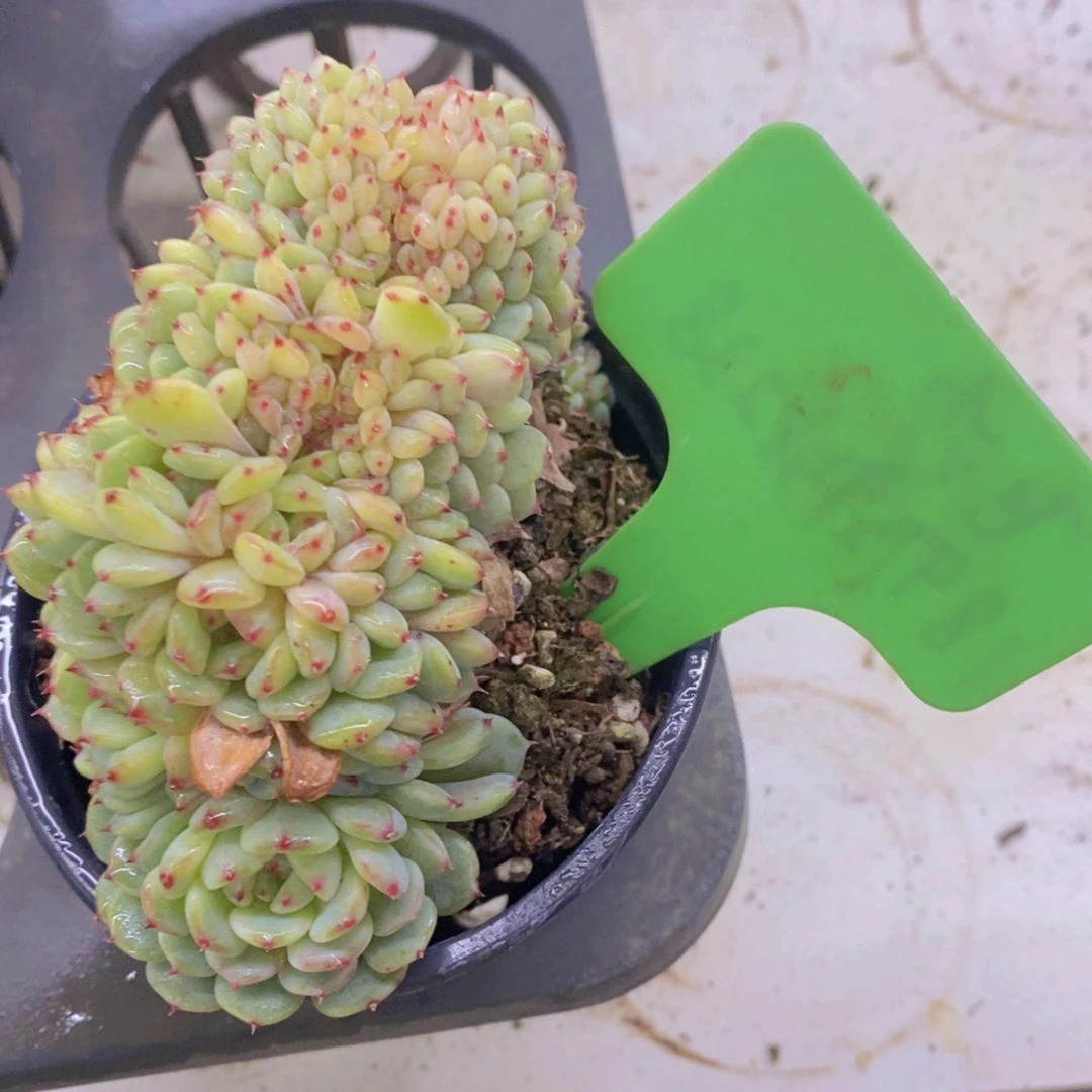 清货转场，一单包邮，满5宋1