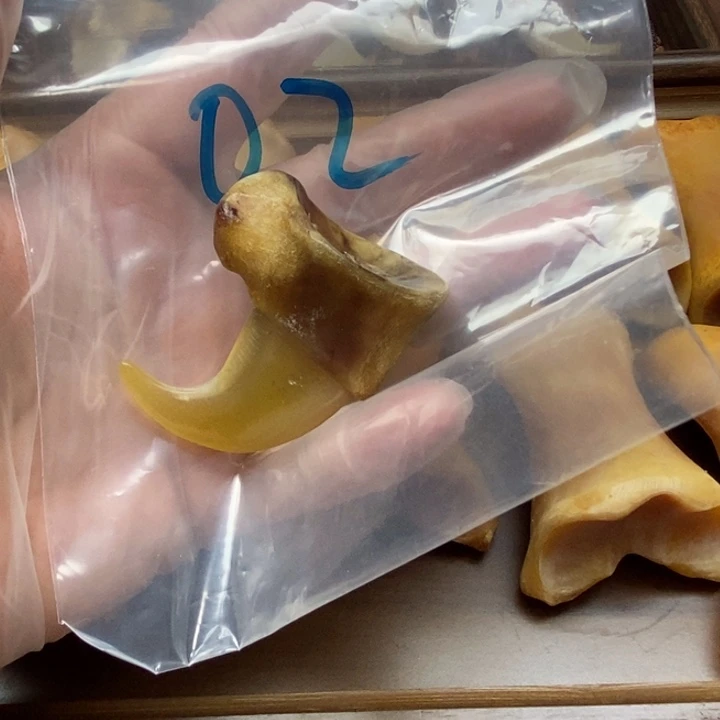特色手工艺创意饰品