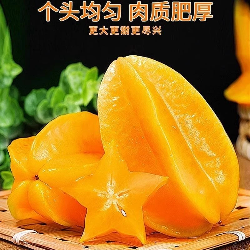 【现货包邮】福建漳州杨桃新鲜采摘现发甜杨桃新鲜水果3/5斤装鲜果