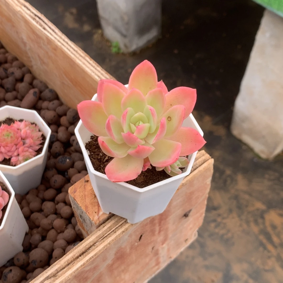 我们就能成为好老师