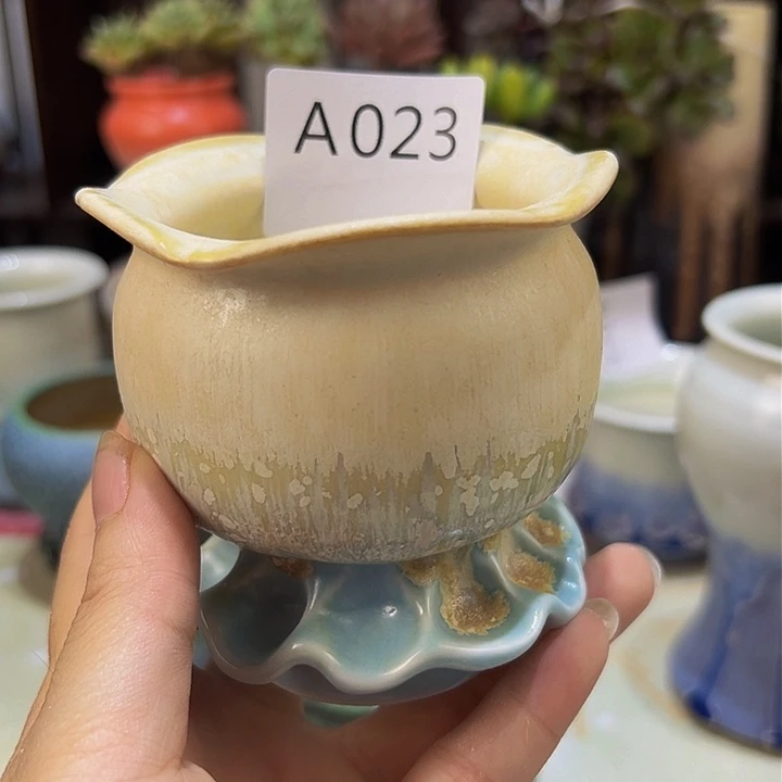 景德镇陶瓷研究所晚***星