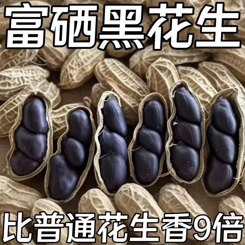 云南正宗富硒黑花生带壳