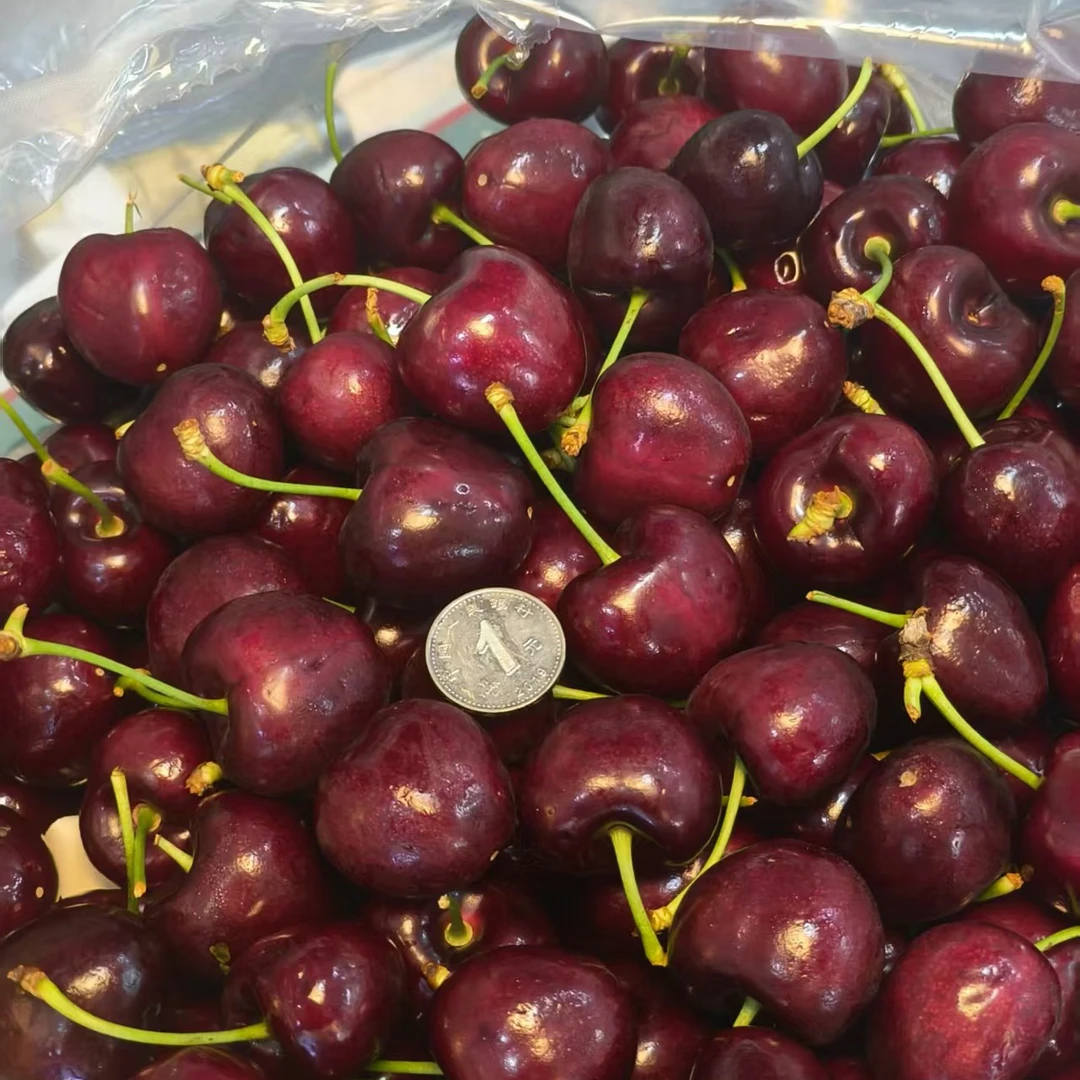 智利空运4J车厘子，包脆包甜包新鲜的尝鲜价1.88元每份，50克每份，每位顾客限购一份，多拍不发其他品种智利