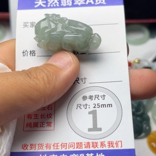 翡翠未镶嵌颈饰挂件