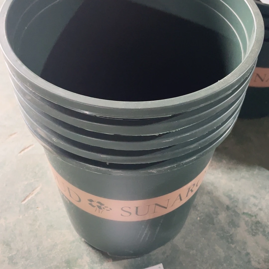 编号是38号的38号的
