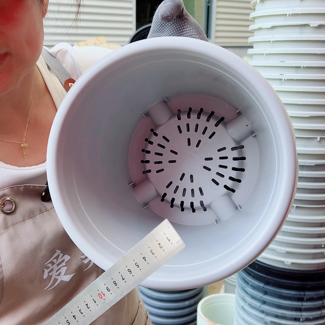 四季盆4#灰白色8个无托