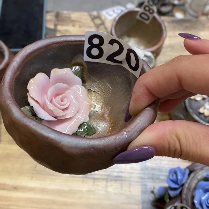 杯瓶****8柴烧肉等特色菜式
