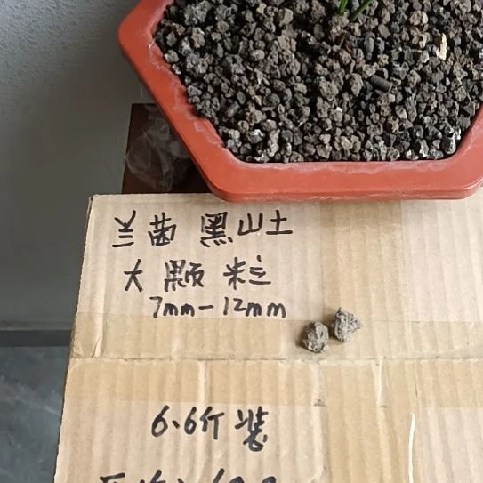 ****秋兰菌黑山土大颗粒6.6斤