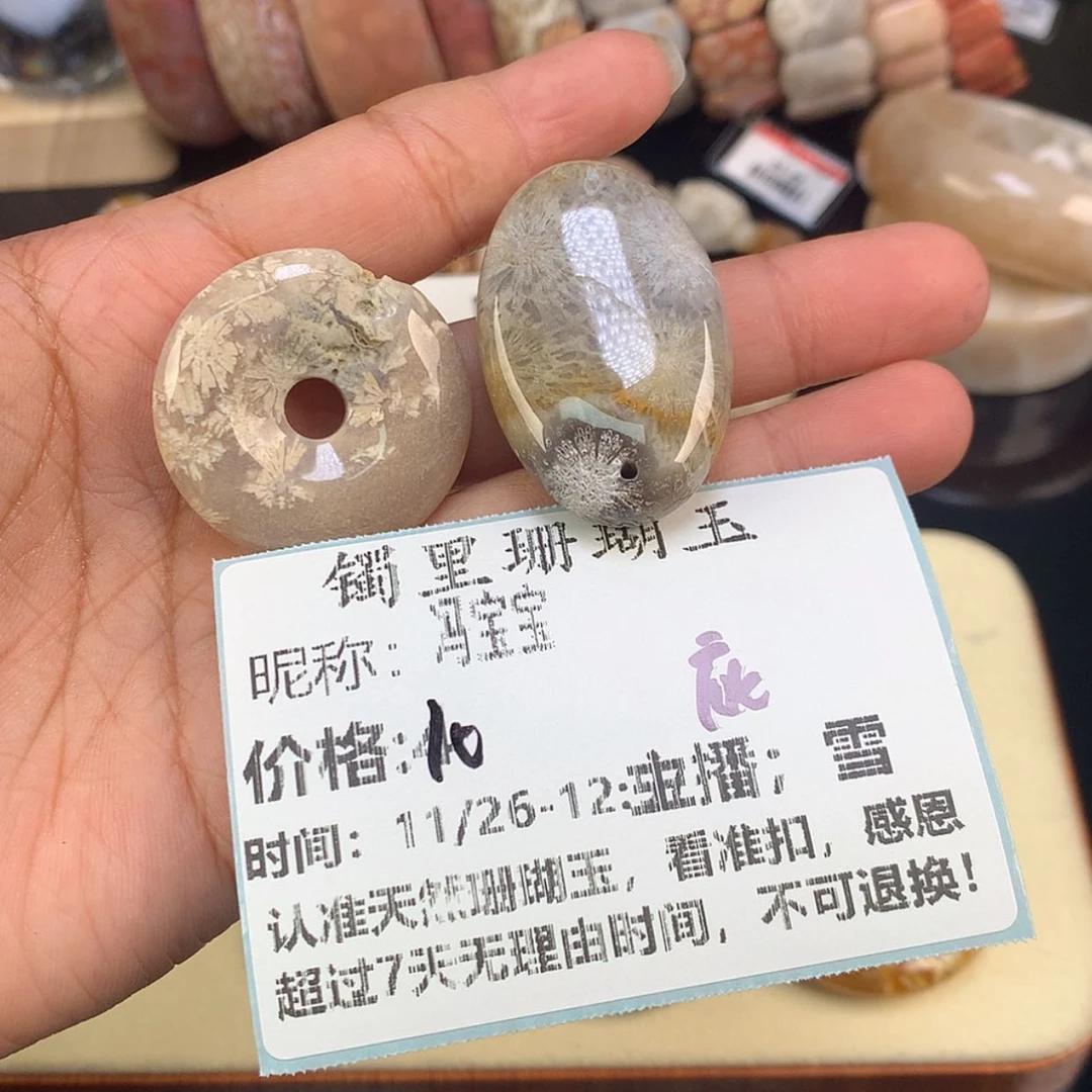 【闪购商品】颈饰未镶嵌硅化珊瑚（珊瑚玉）冯*宝