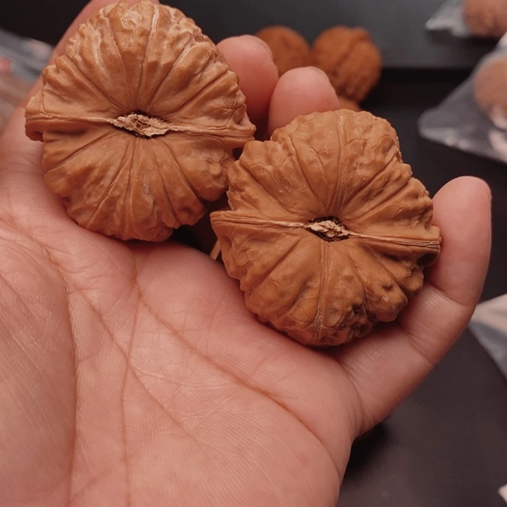 核桃南瓜45尺核桃