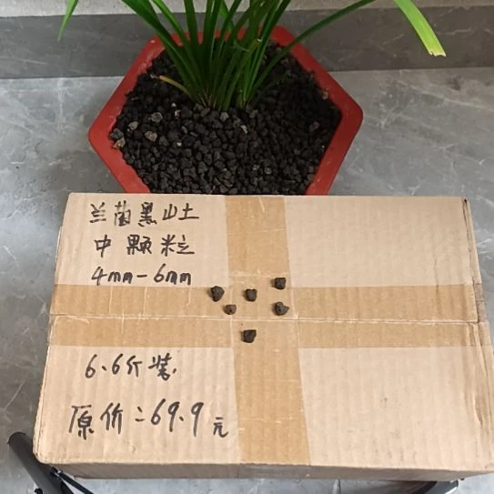雁***翔兰菌黑山土中颗粒6.6斤