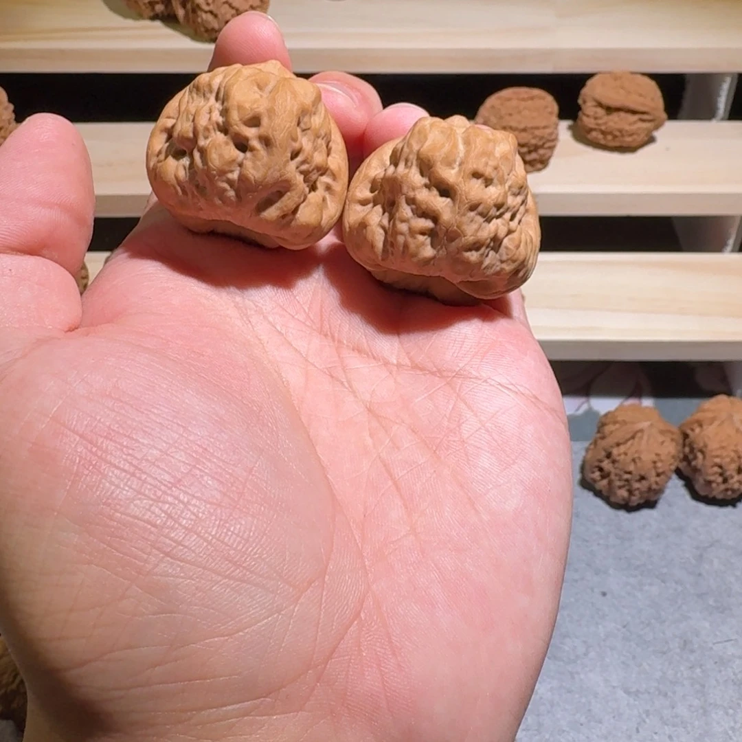 大叶紫檀（黑酸枝木类）