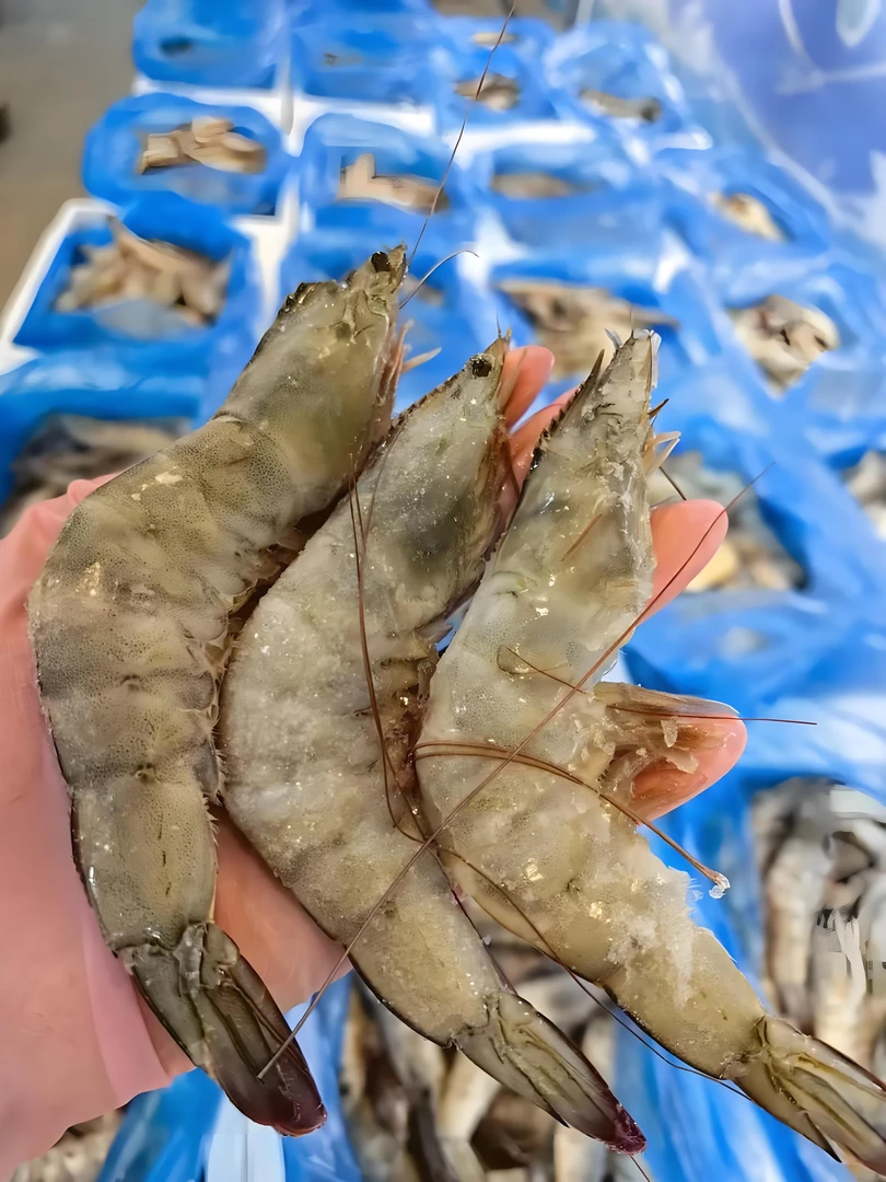白虾单冻南美白虾500g