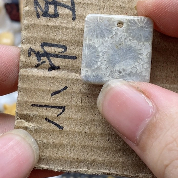 颈饰未镶嵌硅化珊瑚（珊瑚玉）s*浪