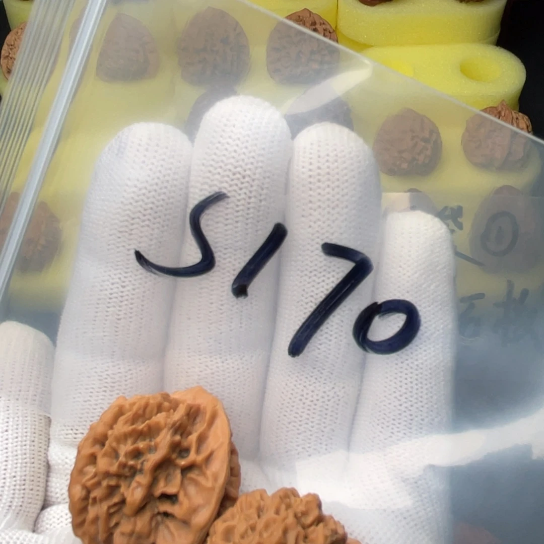 文玩核桃把件秦闷全品30