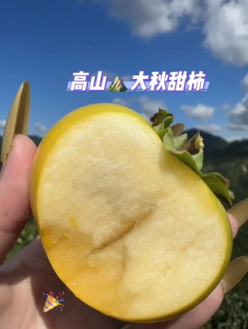 桂林恭城（太秋甜柿）爽脆清甜可口 现摘现发 一级果