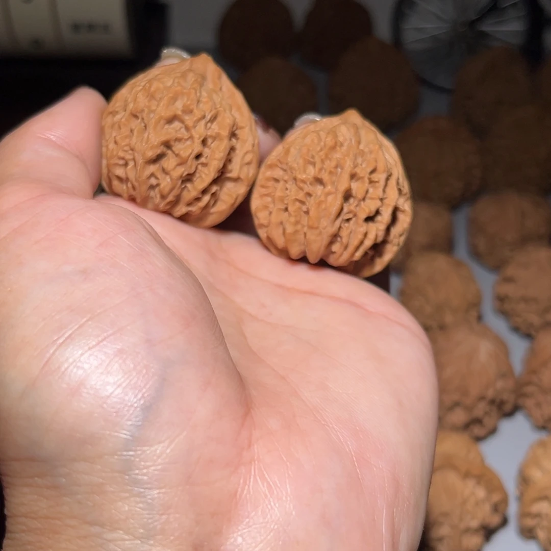 木质类血灯楼35全品
