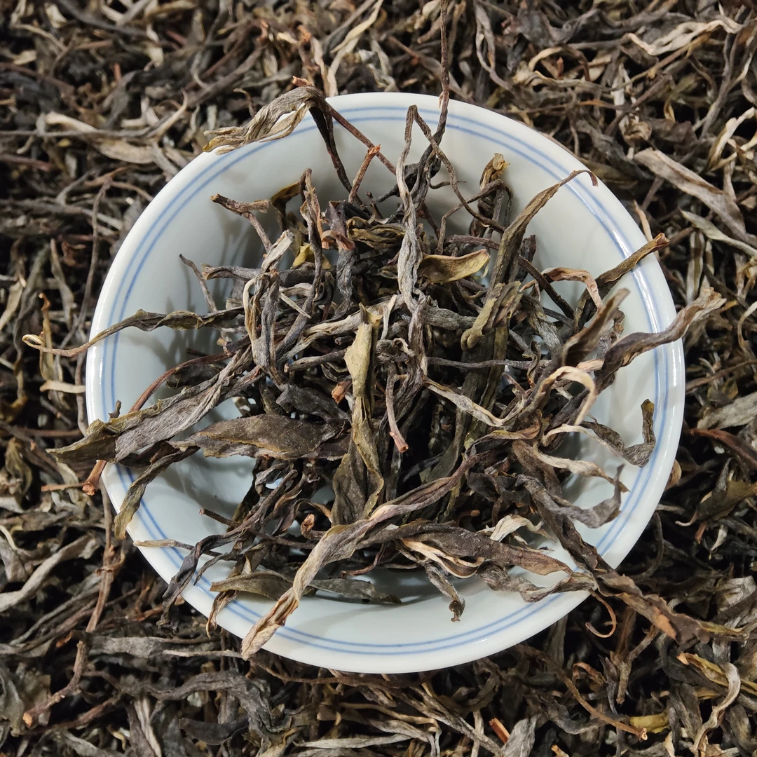 2025天门山乔木古树混采—普洱生茶—散茶—香扬水柔—花香蜜甜清凉感