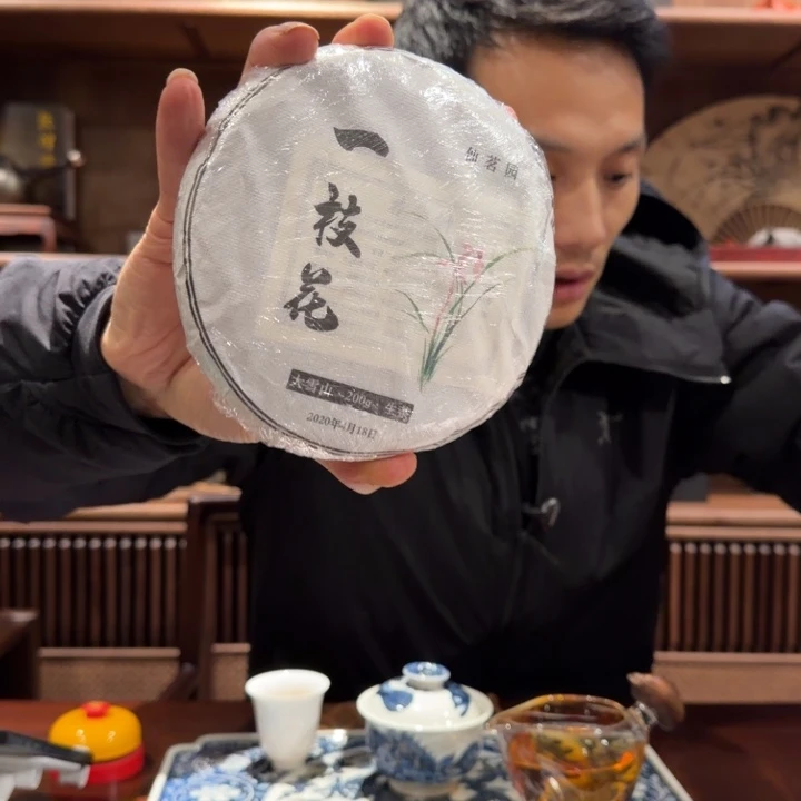 摆件紫砂生茶茶汤汤茶生茶汤