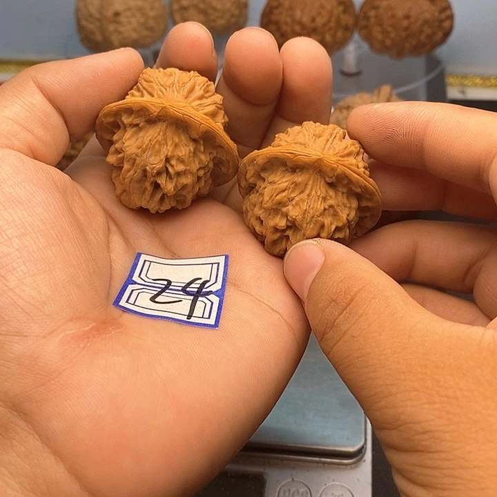 文玩核桃把件37天地