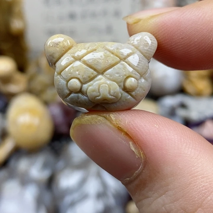 颈饰未镶嵌硅化珊瑚（珊瑚玉）小