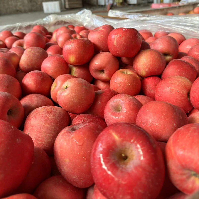 【君集】正宗烟台红富士净重4.5斤脆甜多汁