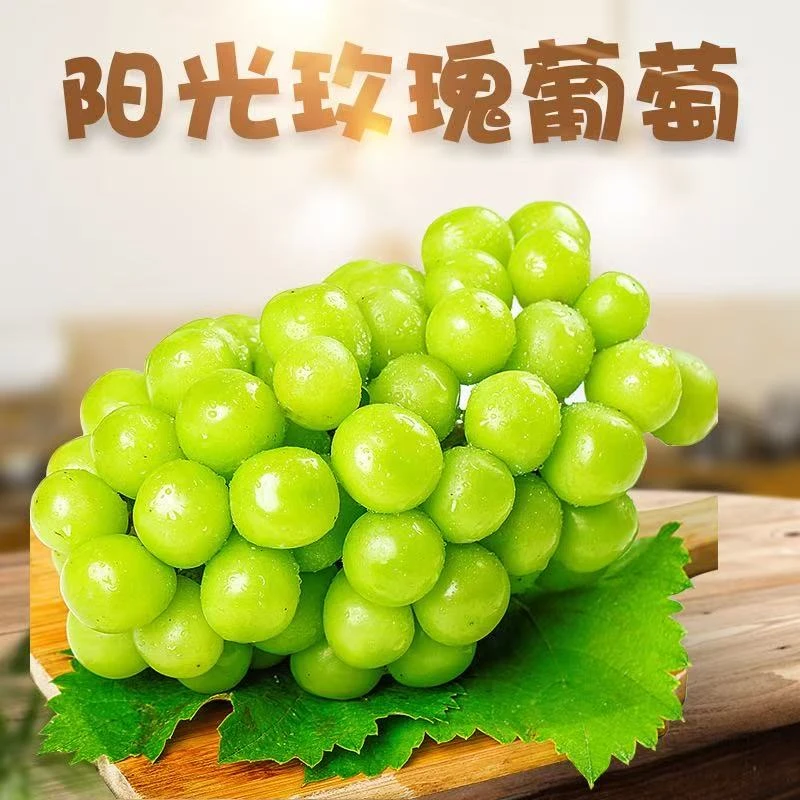 【双11特惠】JD正陕西晴王阳光玫瑰葡萄大颗粒新鲜采现摘现发