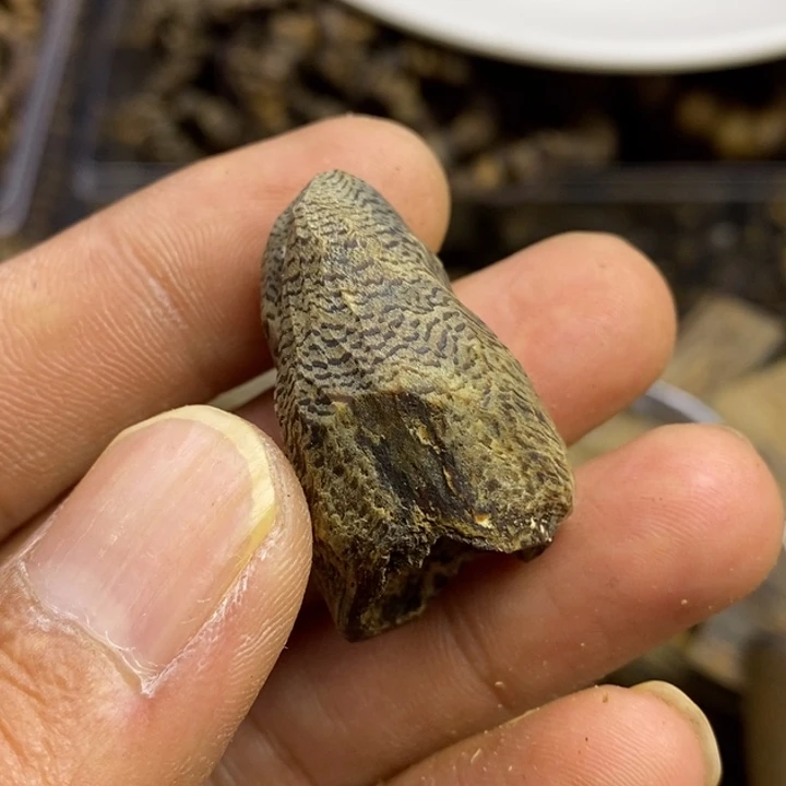 小***乐沉香沉香碎屑棋楠沉香树丁4克