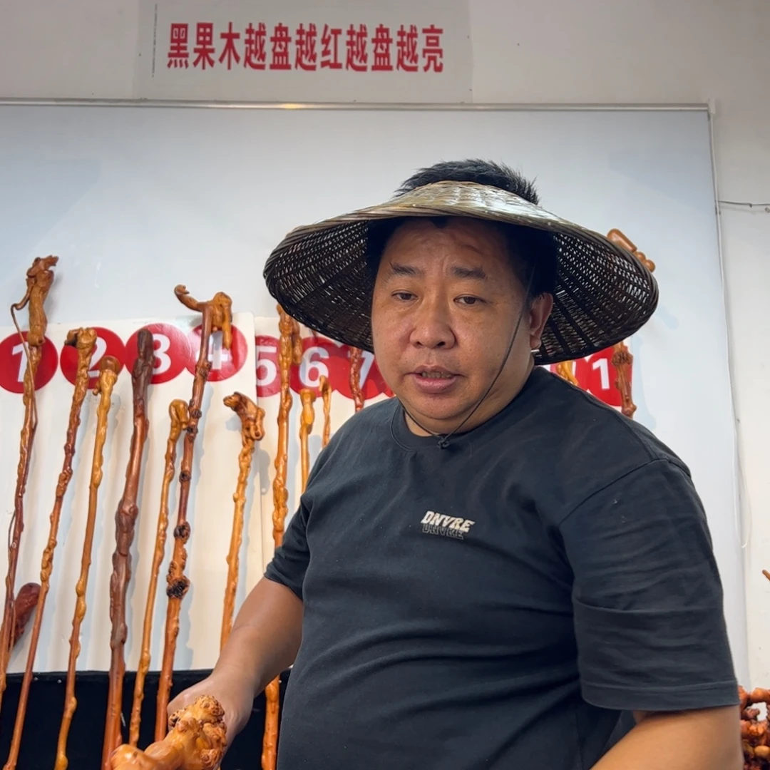 寄***云黑果木其他黑果木778
