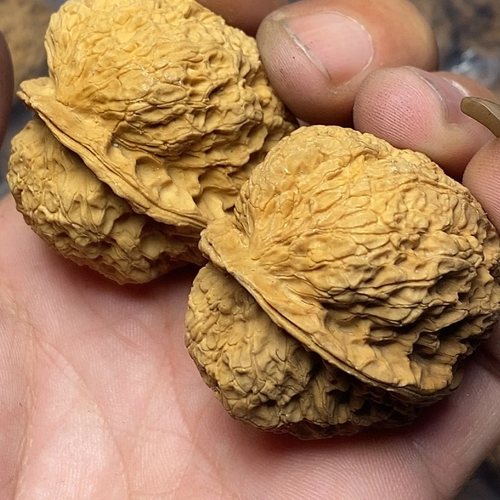 文玩核桃把件云南铁核桃35