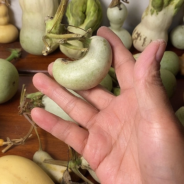烀***的青皮葫芦小手把件
