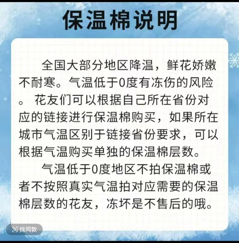 鲜花【保温棉】【叁叁专属】5度及以下不拍保温棉冻坏不售后！！！