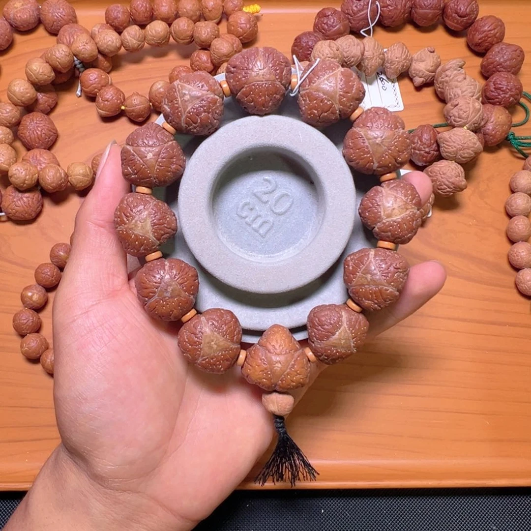 龙脊菩提吊坠龙眼串 11籽