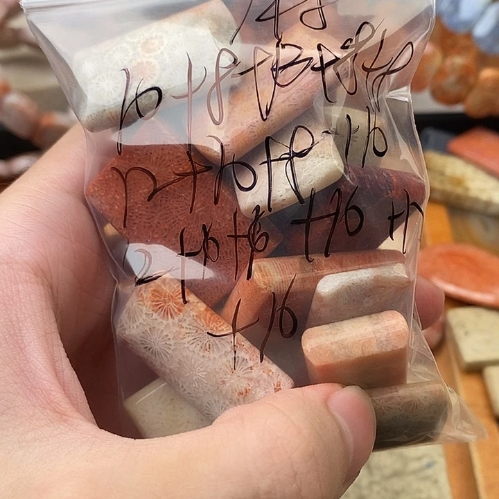 小***）硅化玉（树化玉）未镶嵌颈饰