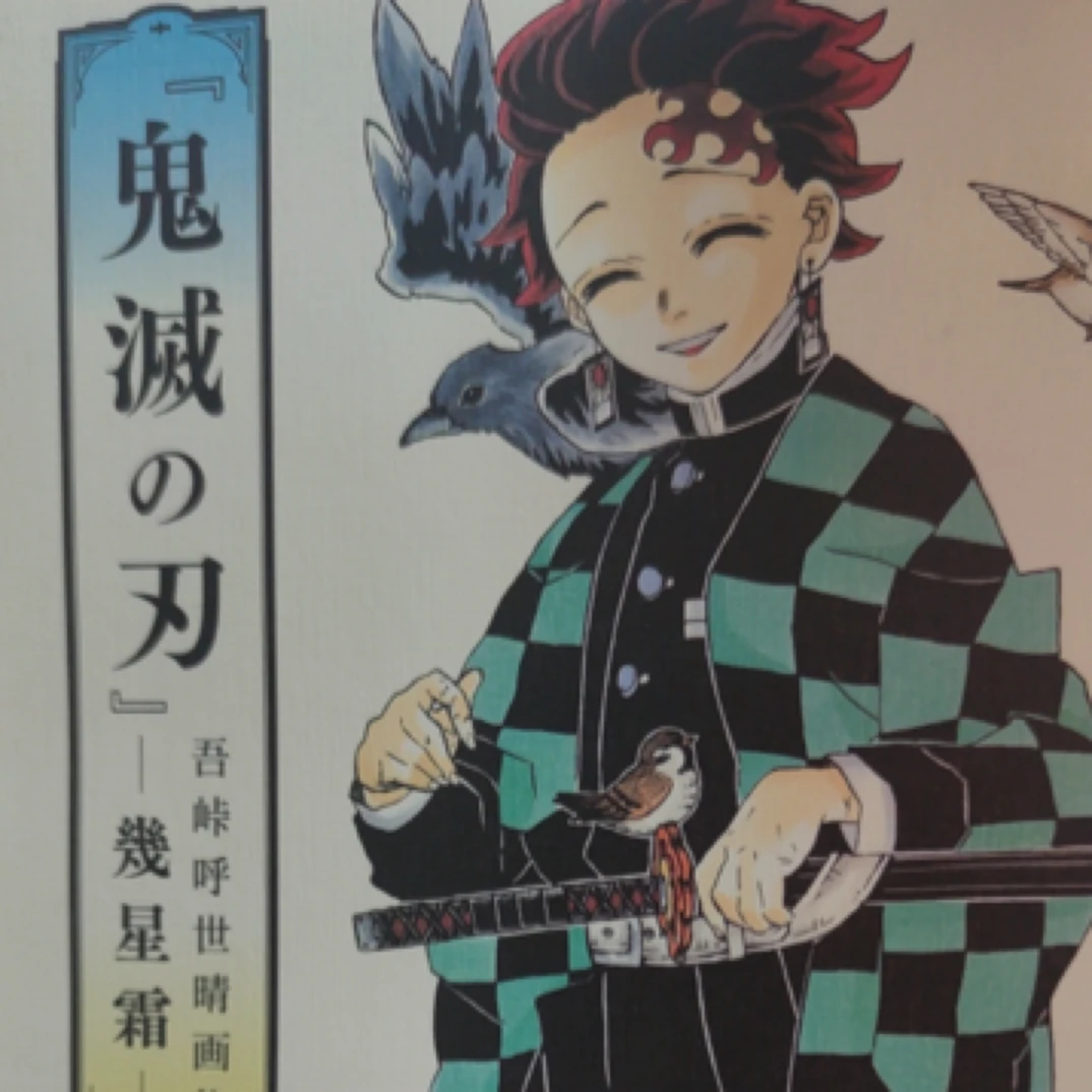 【鬼灭之刃】原画集A4切页代拆