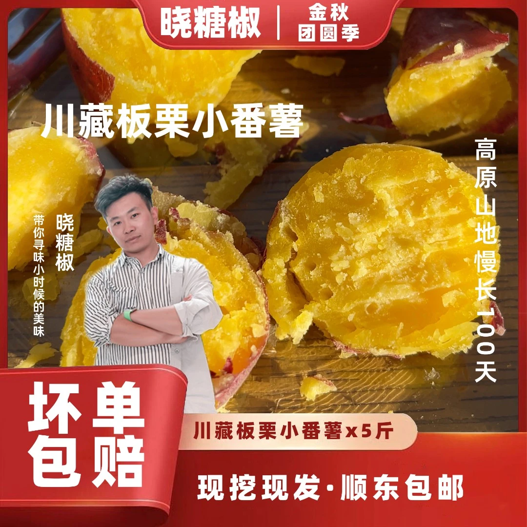 [现挖现发]川藏板栗小番薯生态新鲜软糯香甜孩子营养辅食应季尝鲜