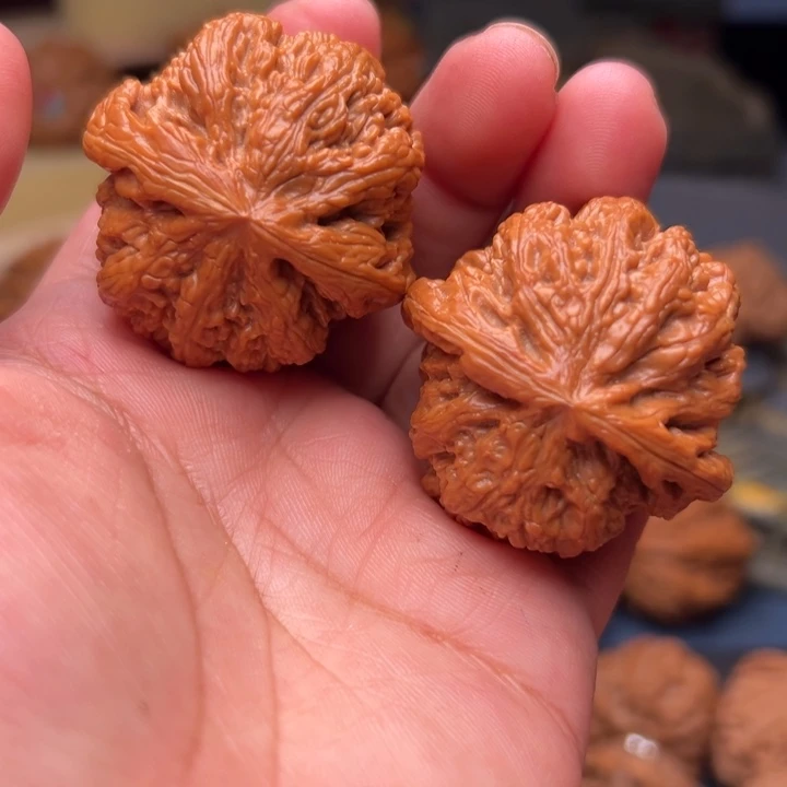 核桃40+大粗筋大粗筋大粗筋