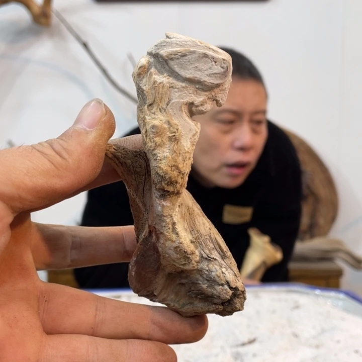 崖****桑我们都是好孩子呀