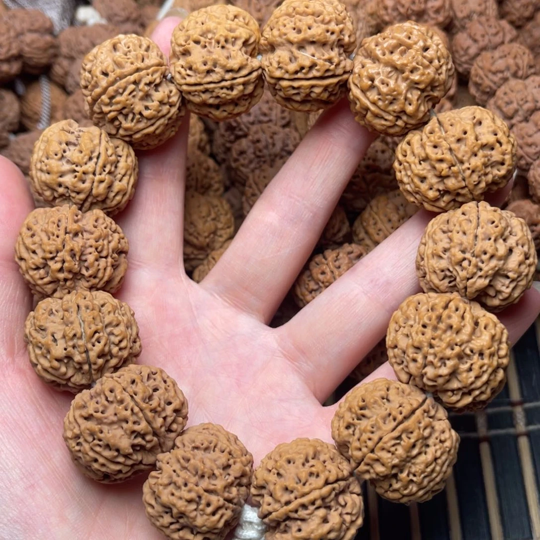 菩提9号金刚菩提愿生态六瓣26+