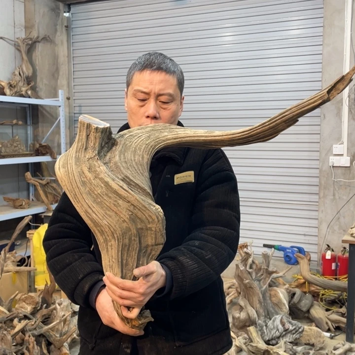 雪**狐我们都是好孩子呀