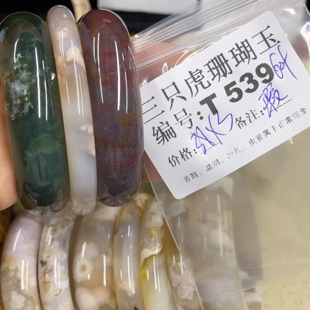 ****肉硅化珊瑚（珊瑚玉）h银S925镀金镶嵌