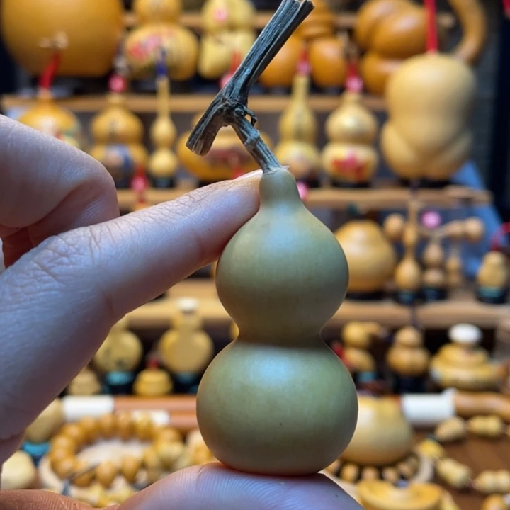 焰*天然葫芦自然生长焰阳