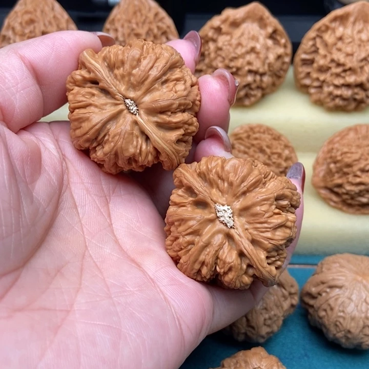 桃核吊坠粗筋44尺已打底