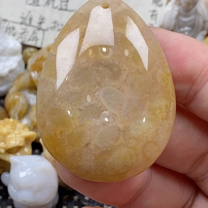 颈饰未镶嵌硅化珊瑚（珊瑚玉）