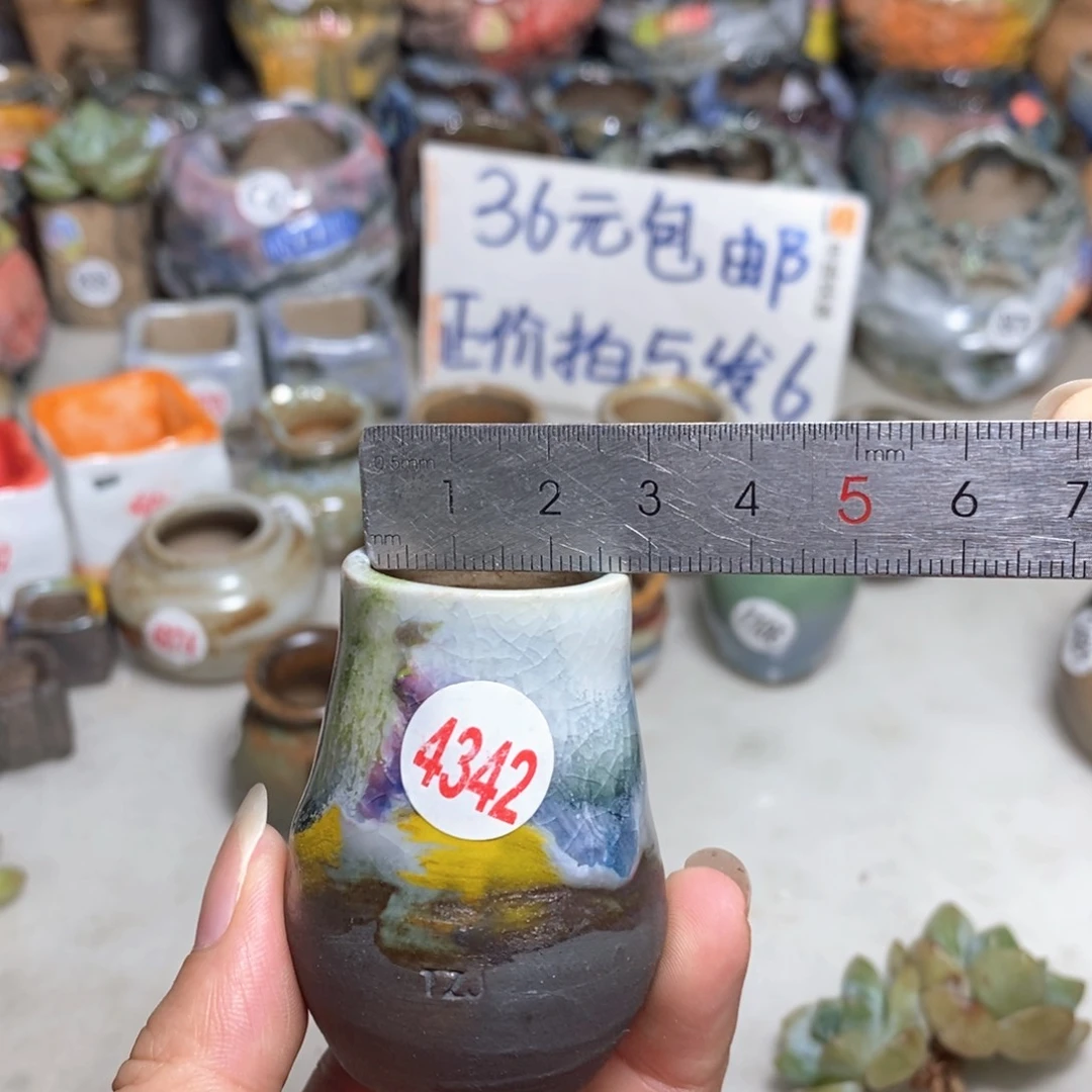 拍5送一个小礼物