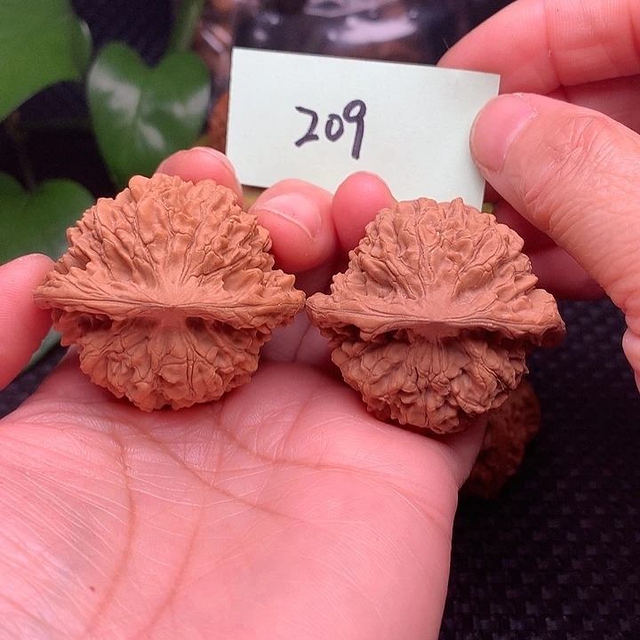 【闪购商品】把件文玩核桃官帽209