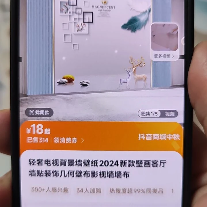 富***容客厅电视墙壁画壁布